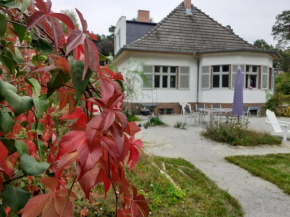 Kleines Landhaus am Wald Bad Saarow